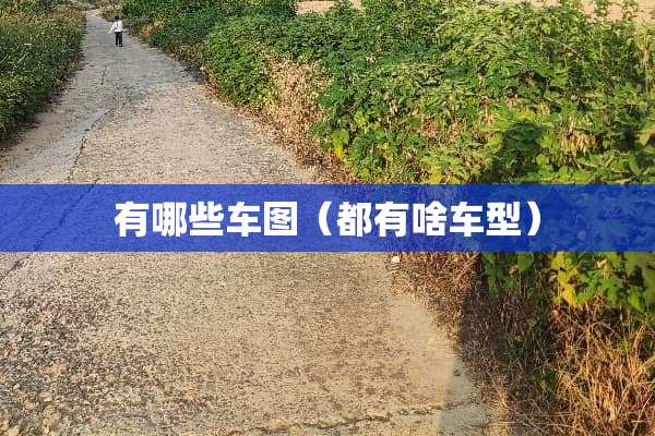 有哪些车图（都有啥车型）
