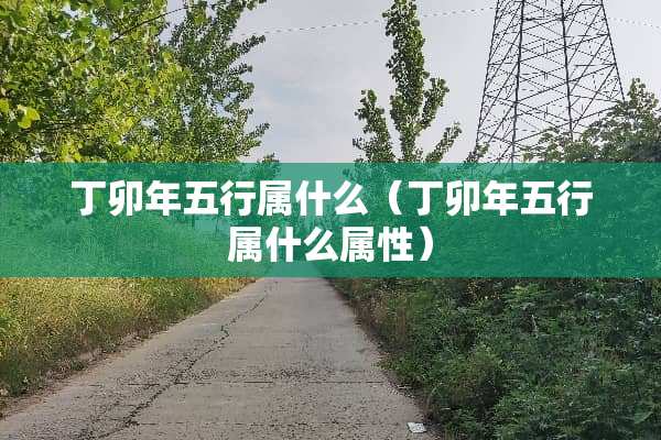 丁卯年五行属什么（丁卯年五行属什么属性）