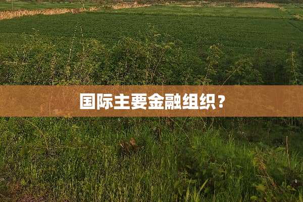 国际主要金融组织？
