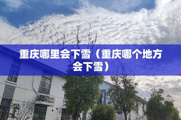 重庆哪里会下雪（重庆哪个地方会下雪）