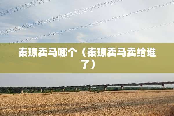 秦琼卖马哪个（秦琼卖马卖给谁了）