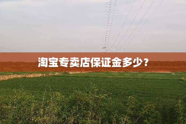 淘宝专卖店保证金多少？
