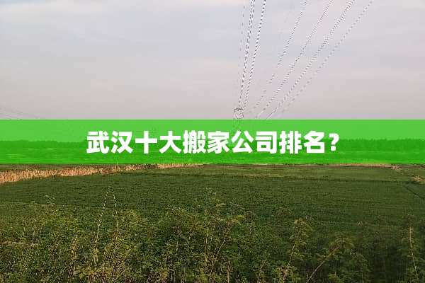 武汉十大搬家公司排名？