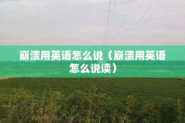 崩溃用英语怎么说（崩溃用英语怎么说读）