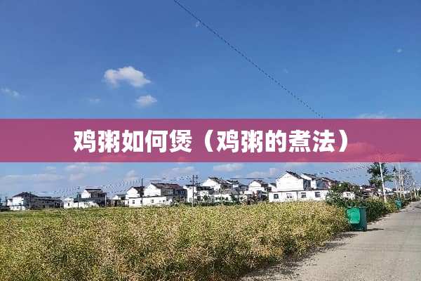鸡粥如何煲（鸡粥的煮法）