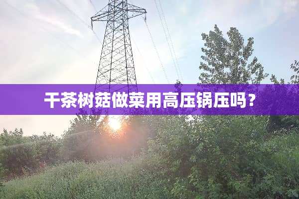干茶树菇做菜用高压锅压吗？