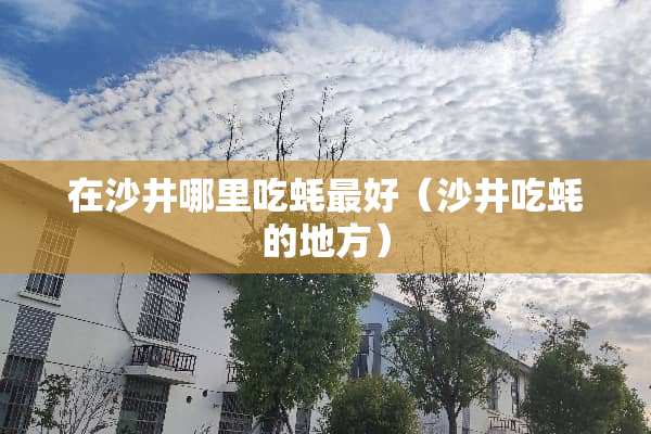 在沙井哪里吃蚝最好（沙井吃蚝的地方）