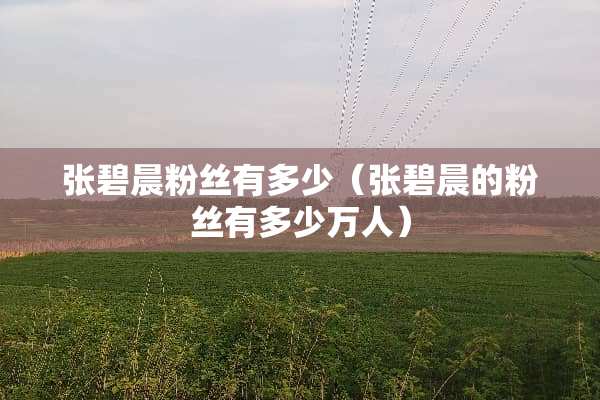 张碧晨粉丝有多少（张碧晨的粉丝有多少万人）