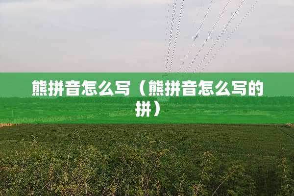 熊拼音怎么写（熊拼音怎么写的拼）