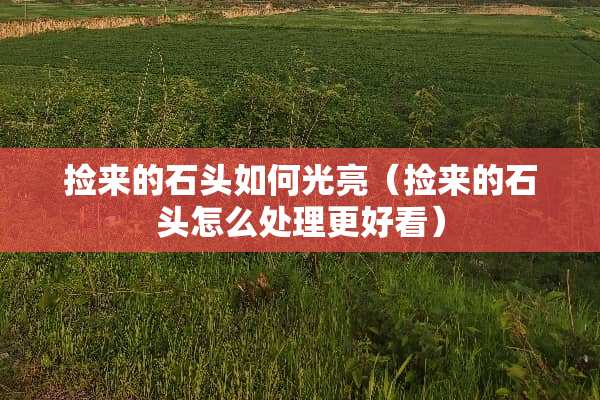 捡来的石头如何光亮（捡来的石头怎么处理更好看）