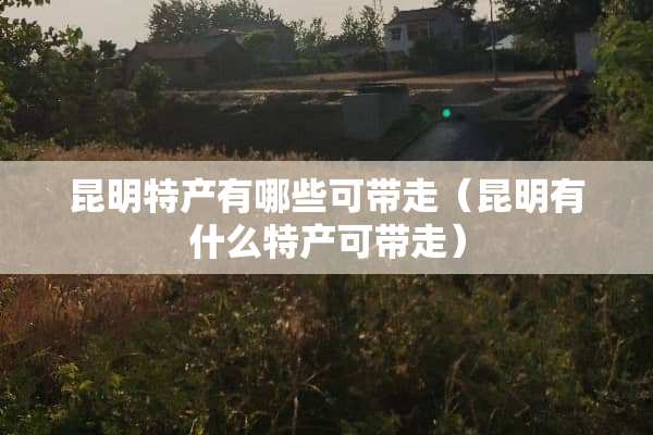 昆明特产有哪些可带走（昆明有什么特产可带走）