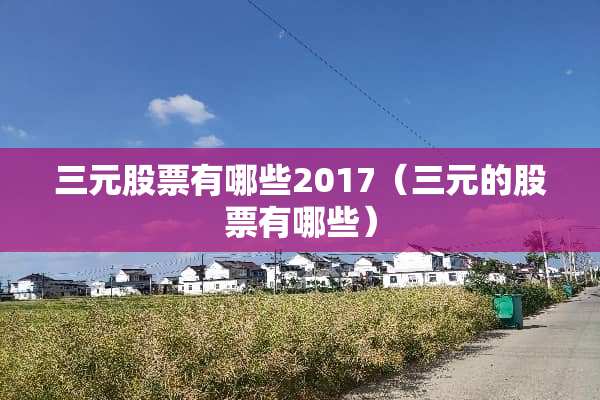三元股票有哪些2017（三元的股票有哪些）