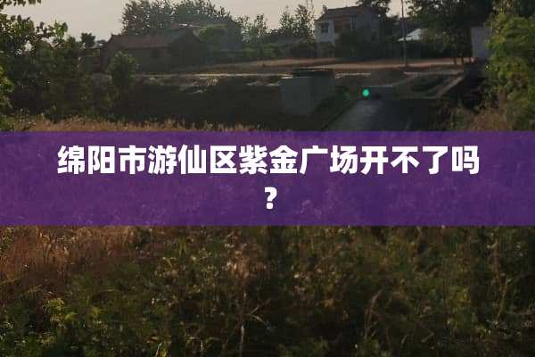 绵阳市游仙区紫金广场开不了吗？