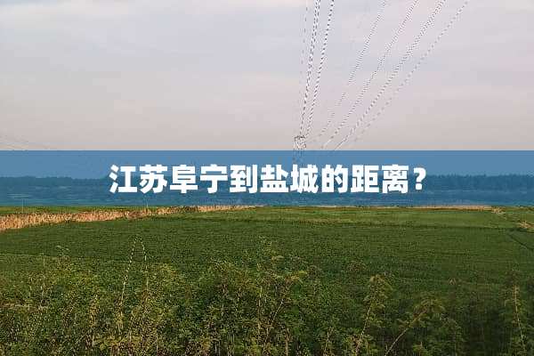 江苏阜宁到盐城的距离？