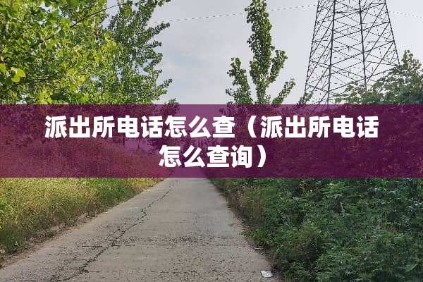 派出所电话怎么查（派出所电话怎么查询）
