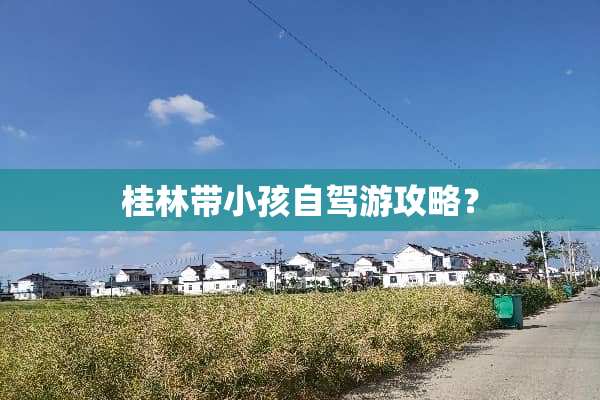 桂林带小孩自驾游攻略？