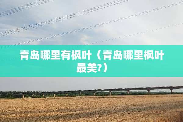 青岛哪里有枫叶（青岛哪里枫叶最美?）