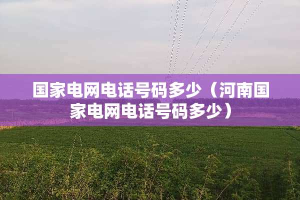 国家电网电话号码多少（河南国家电网电话号码多少）