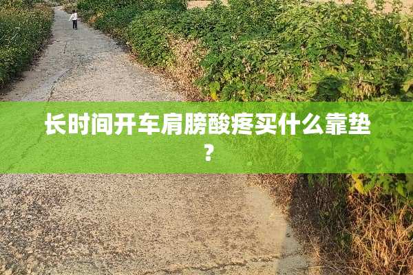 长时间开车肩膀酸疼买什么靠垫？