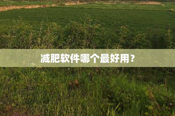 减肥软件哪个最好用？