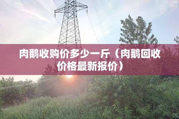 肉鹅收购价多少一斤（肉鹅回收价格最新报价）
