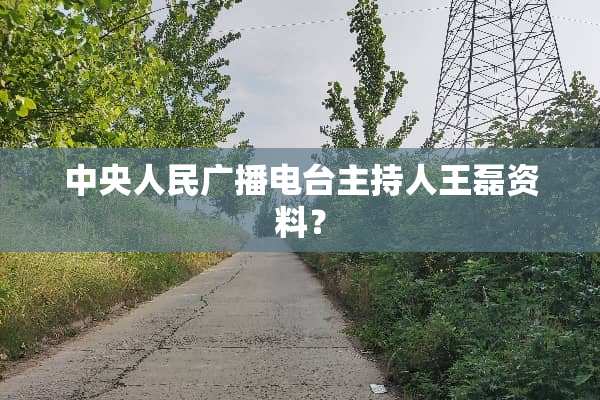 **人民广播电台主持人王磊资料？
