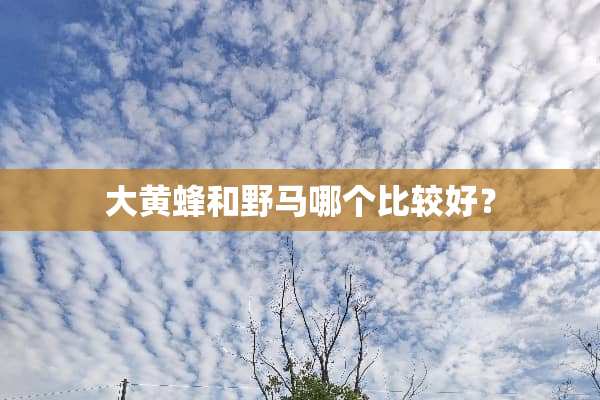大黄蜂和野马哪个比较好？