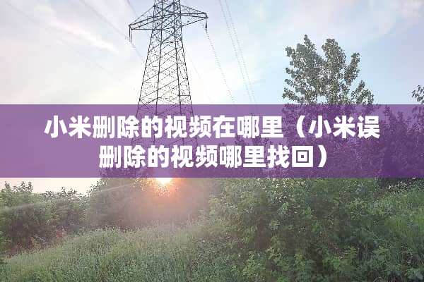 小米删除的视频在哪里（小米误删除的视频***回）