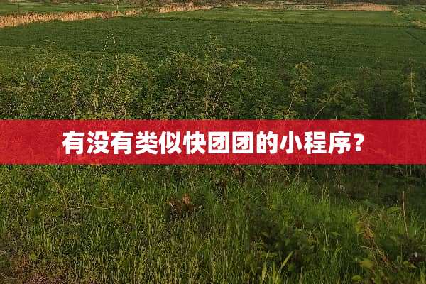 有没有类似快团团的小程序？