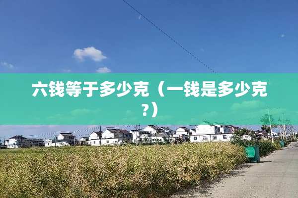 六钱等于多少克（一钱是多少克?）