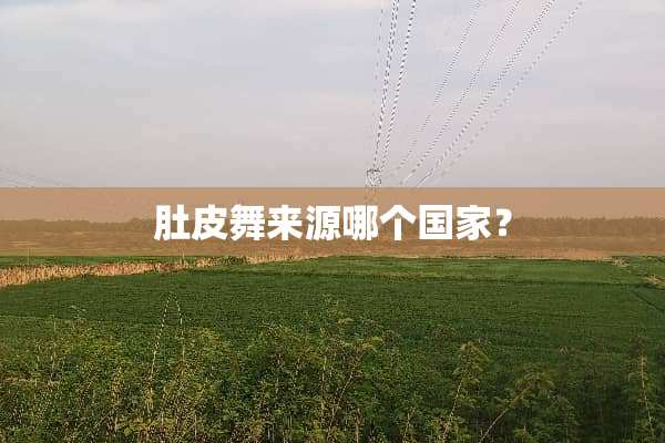 肚皮舞来源哪个国家？