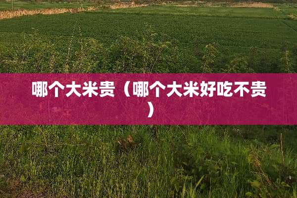 哪个大米贵（哪个大米好吃不贵）