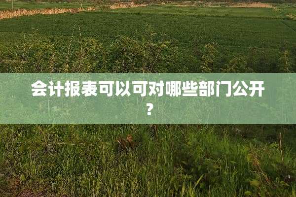 会计报表可以可对哪些部门公开？