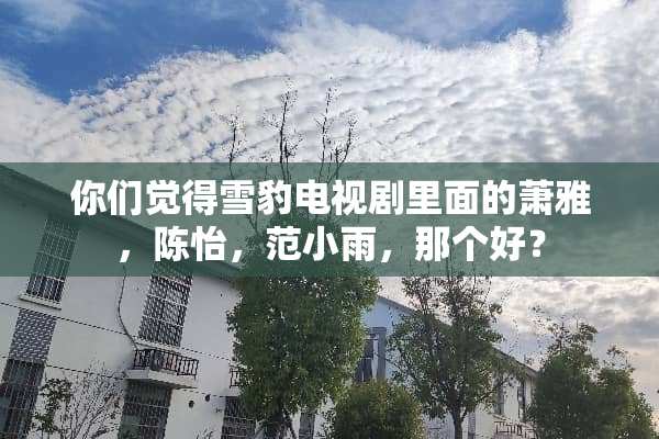 你们觉得雪豹电视剧里面的萧雅，陈怡，范小雨，那个好？