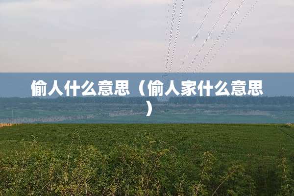 偷人什么意思（偷人家什么意思）