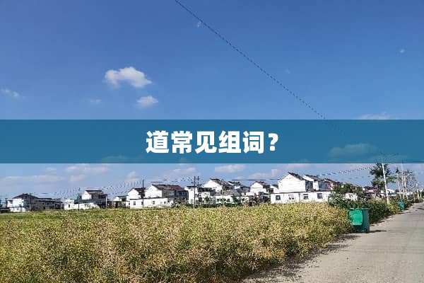 道常见组词？