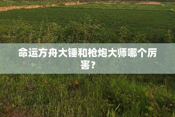 命运方舟大锤和**大师哪个厉害？