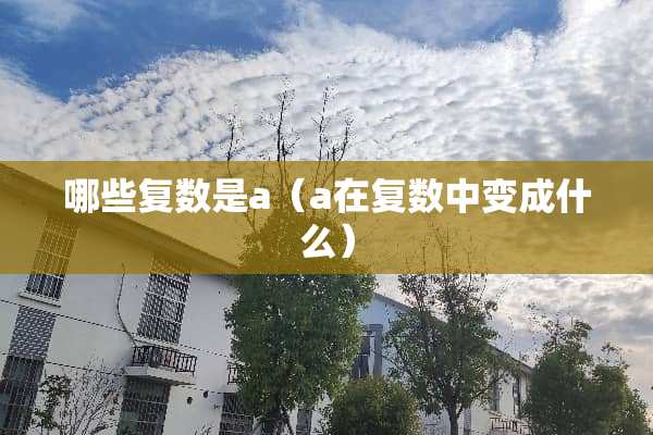 哪些复数是a（a在复数中变成什么）
