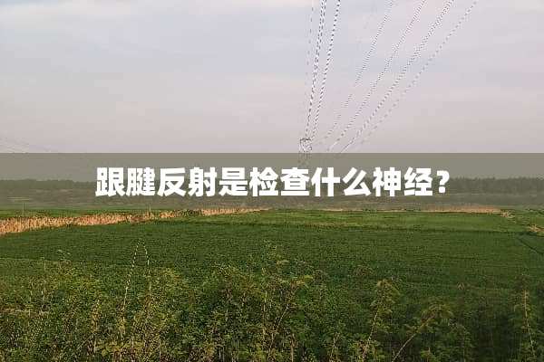 跟腱反射是检查什么神经？
