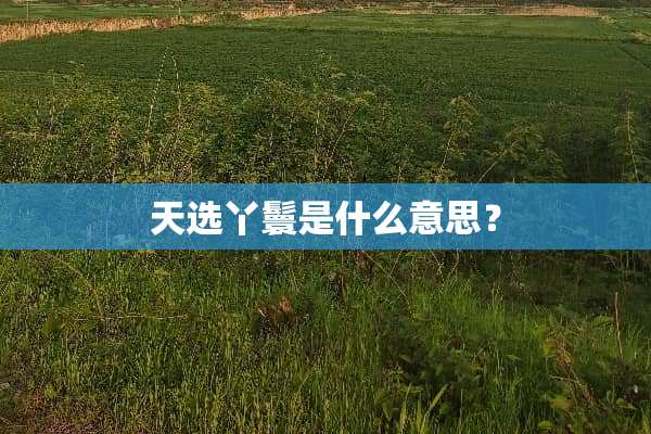 天选丫鬟是什么意思？