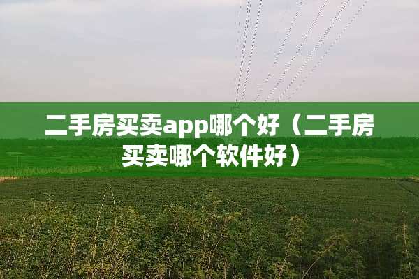二手房买卖app哪个好（二手房买卖哪个软件好）
