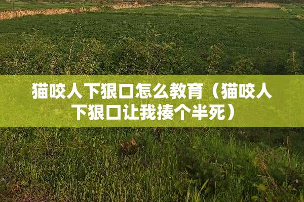 猫咬人下狠口怎么教育（猫咬人下狠口让我揍个半死）
