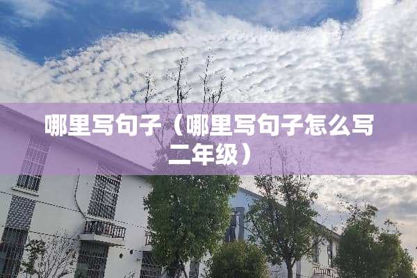 哪里写句子（哪里写句子怎么写二年级）