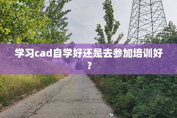 学习cad自学好还是去参加培训好？