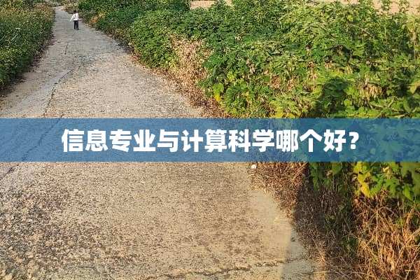 信息专业与计算科学哪个好？