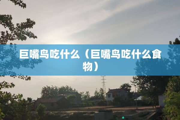 巨嘴鸟吃什么（巨嘴鸟吃什么食物）
