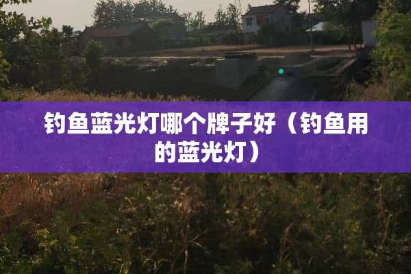钓鱼蓝光灯哪个牌子好（钓鱼用的蓝光灯）