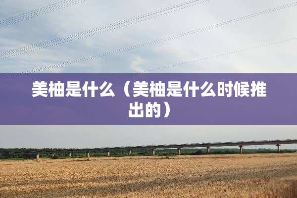 美柚是什么（美柚是什么时候推出的）