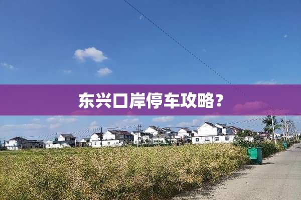 东兴口岸停车攻略？