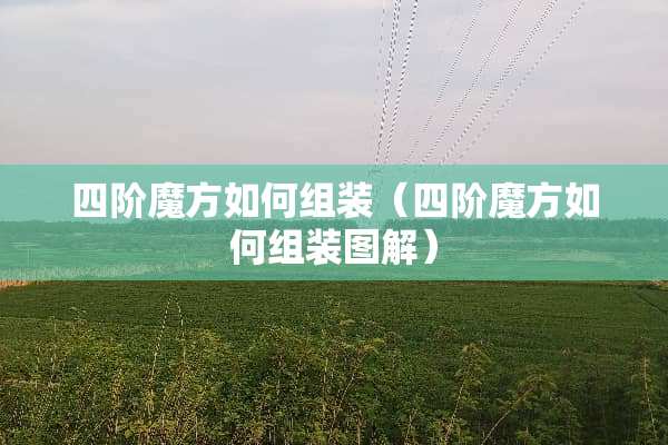 四阶魔方如何组装（四阶魔方如何组装图解）